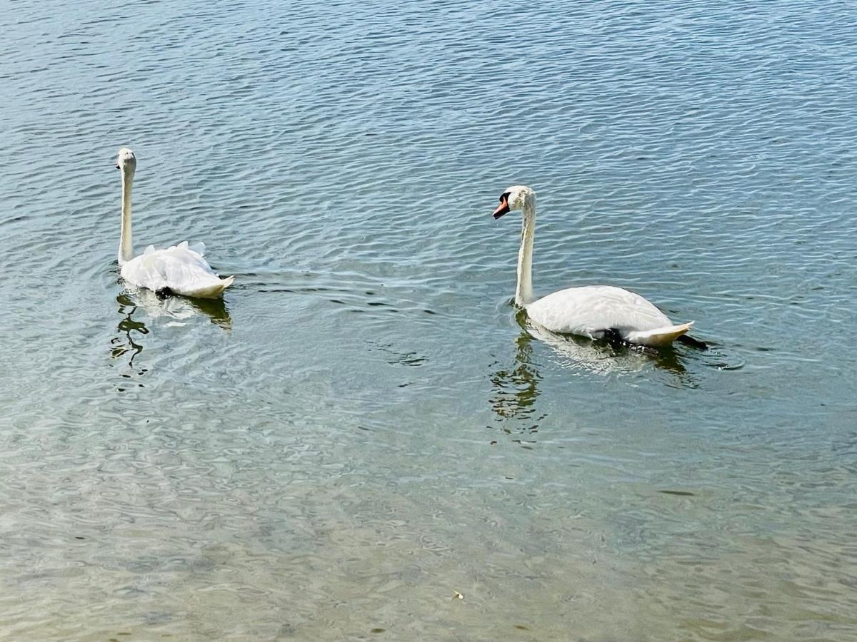 Moderne Am Rothsee Hilpoltstein